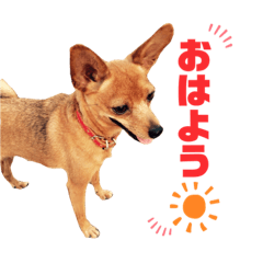 [LINEスタンプ] わんちゃんスタンプ①