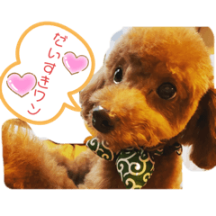[LINEスタンプ] トイプーの欄