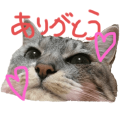 [LINEスタンプ] さくらとこうめ
