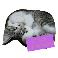 [LINEスタンプ] 凛スタンプPart1☆