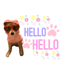 [LINEスタンプ] プリンちゃんスタンプ♡