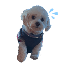 [LINEスタンプ] らる_①