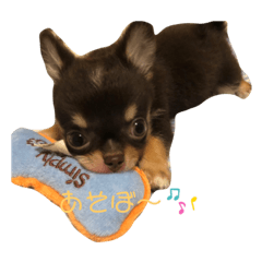 [LINEスタンプ] ろぃたん