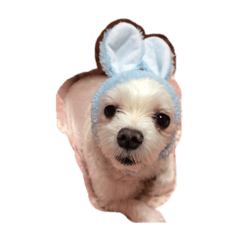 [LINEスタンプ] 姫ありがとう。