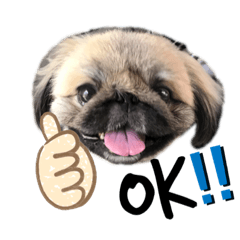 [LINEスタンプ] まんまるの気持ち4