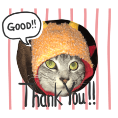 [LINEスタンプ] 猫のちぃだよ