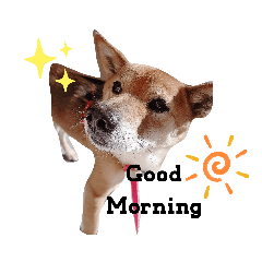 [LINEスタンプ] こころの1日