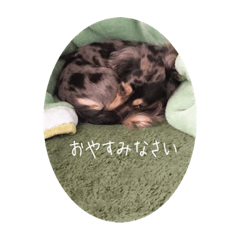 [LINEスタンプ] かにんへんっ！かいんくんっ