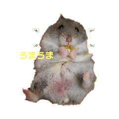 [LINEスタンプ] 真屁田 権須毛②