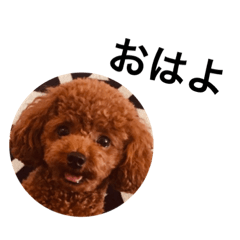 [LINEスタンプ] ルヴスタンプ