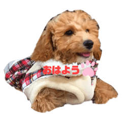 [LINEスタンプ] maronn tann