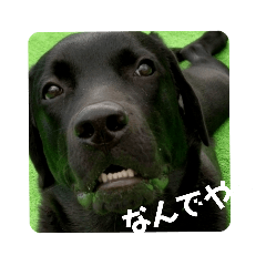 [LINEスタンプ] ラクラクらっく〜