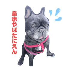 [LINEスタンプ] JERRYスタンプ
