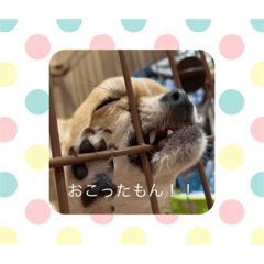 [LINEスタンプ] はなちゃんの癒し