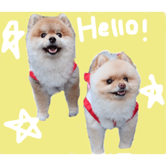 [LINEスタンプ] ラテマル2