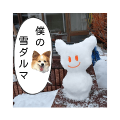 [LINEスタンプ] sorayukidaruma2