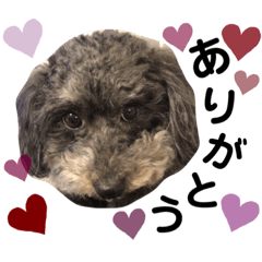 [LINEスタンプ] sora ❤︎