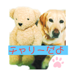 [LINEスタンプ] cute charry