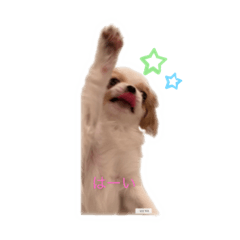 [LINEスタンプ] ペキチワゆぅちゃん