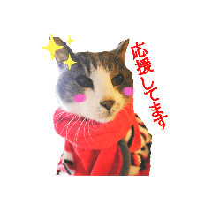 [LINEスタンプ] 我が家のチビ太スタンプ