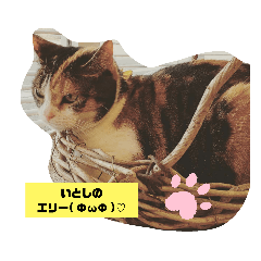 [LINEスタンプ] いとしのエリー