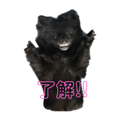 [LINEスタンプ] 癒したち。