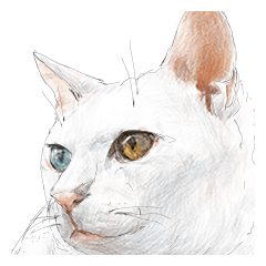 [LINEスタンプ] にゃんこの一言 2