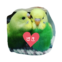 [LINEスタンプ] 我が家のインコーズ