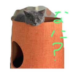 [LINEスタンプ] スタプン3