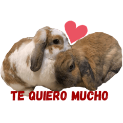 [LINEスタンプ] Jajo×U-chan