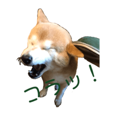 [LINEスタンプ] Chappy.U