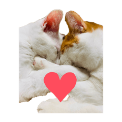 [LINEスタンプ] ぽてばに part1