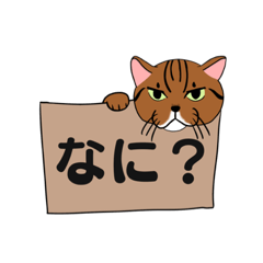 [LINEスタンプ] 箱入り猫のレオちゃん