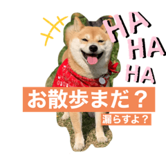 [LINEスタンプ] かわいすぎるとろろ