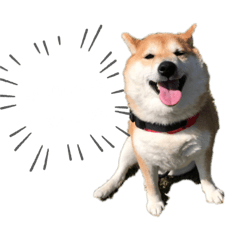 [LINEスタンプ] rinkenmtyn