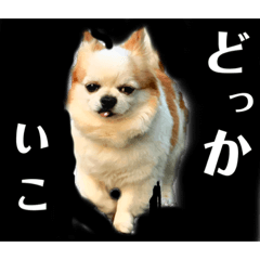 [LINEスタンプ] モカ達