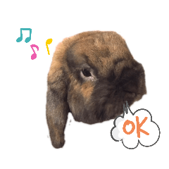 [LINEスタンプ] チョコミスタンプ