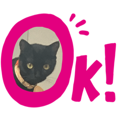 [LINEスタンプ] ひじき version1
