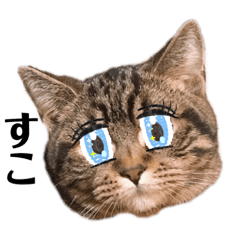 [LINEスタンプ] まるもっこりのつぶやきスタンプ