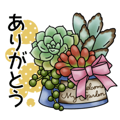 [LINEスタンプ] かわいい多肉植物2