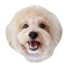 [LINEスタンプ] りらららさら