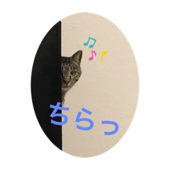 [LINEスタンプ] むぎちょろぴ