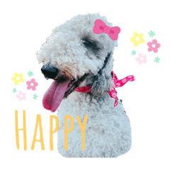 [LINEスタンプ] べドリントンテリア  マフィン♥