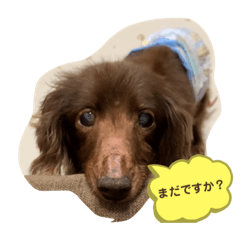 [LINEスタンプ] 専務さん
