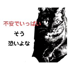 [LINEスタンプ] ブラック＆ホワイト 暗黒脱出