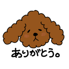 [LINEスタンプ] わたしんちのワンコ