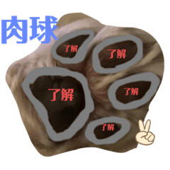 [LINEスタンプ] アンジェちゃん専用