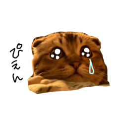[LINEスタンプ] コニチキJKスタンプ
