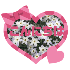 [LINEスタンプ] 写真で挨拶スタンプ