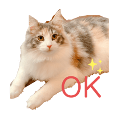 [LINEスタンプ] エミィちゃんスタンプ